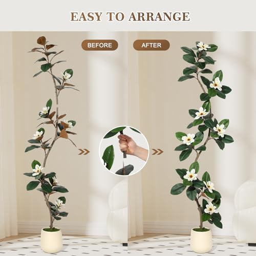 Rubber Tree 7FT Artificial Tree in White Planter Pot,Faux Plants Indoor Faux Floor Plant Artificial Plants with 8 Pcs Magnolia Flowers for Home Decor, Artificial Fiddle Leaf Fig Tree for Office