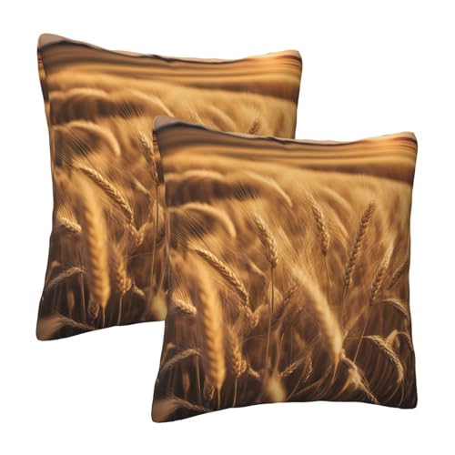 Housse de coussin champ de blé lavable pour protéger et décorer votre canapé