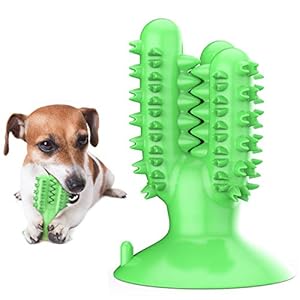 犬のデンタルケア 遊びながらキレイに 犬用歯磨きおもちゃのおすすめプレゼントランキング Ocruyo オクルヨ