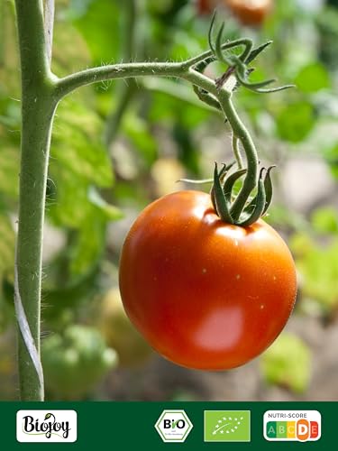 Biojoy BIO-Tomaten ohne Öl (1 kg), getrocknet und ungeschwefelt, mit 7% Steinsalz