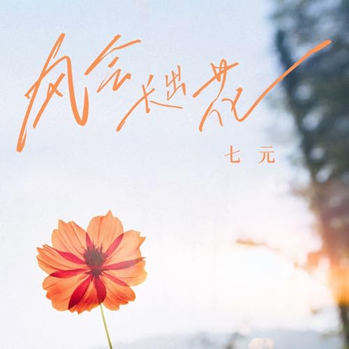 Amazon Music - 七元の风会长出花 - Amazon.co.jp