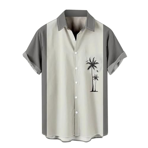 Genérico Camisas de océano para Hombre, Camisa Informal de Manga Larga con Botones, Camisa de Flores de Playa y Trajes Largos, bañadores para Hombre Tops Deporte Hombre (Grey, XXL)