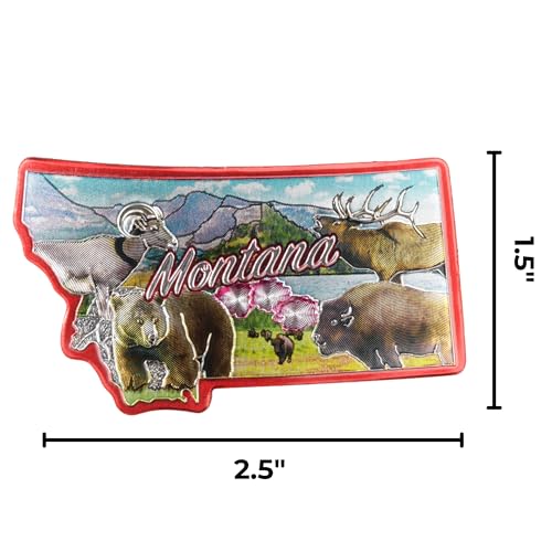 Imán decorativo metálico Montana 2.5 x 1.25 pulgadas miniatura 6