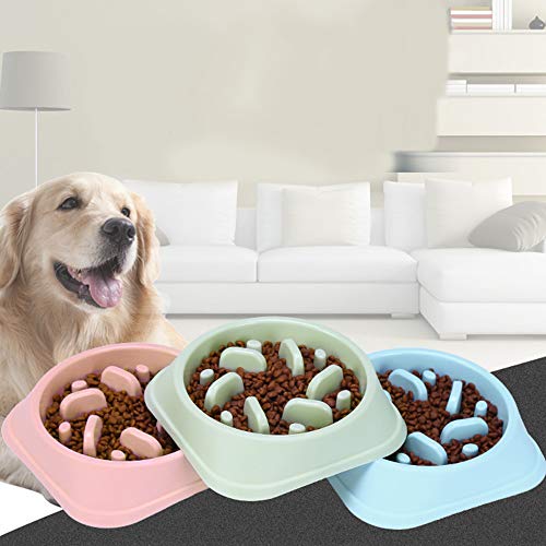 Dog Slow Feeder, rutschfestes Puzzle-Haustier Langsamere Futterfütterungsgerichte, langlebig, um Erstickungsgefahr zu vermeiden, Grün