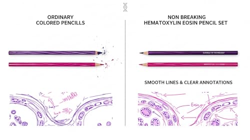 Image of NOZOMI Non-Breaking Hematoxylin & Eosin Pencil Set (Value Pack of 2 Pencils of Violet, Lilac color with 1 Pc. Color Pencil /Ink Eraser) Approved by Medical Councils � Durable, Smooth Application
