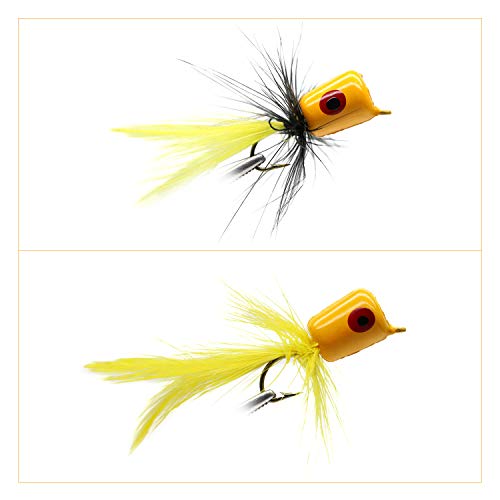 Bass Popper Fly Dry Fly Fishing Flies Kit Panfish Bass Fishing Popper Topwater Bait (Popper Kit 01)
