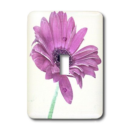 Interrupteur de qualité supérieure motif fleur Rose Gerbera Daisy 3dRose - 3