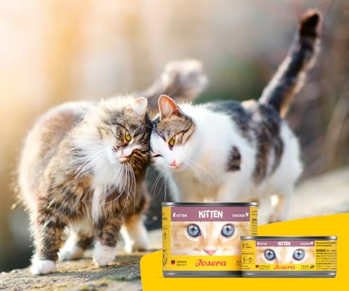 JOSERA Nassfutter Kitten Chicken (12 x 85 g) | Kitten | Premium Katzenfutter nass für wachsende Katzen | Huhn & Kürbis | mit Lachsöl | getreidefrei | Anti-Haarballen | Alleinfutter | 12er Pack