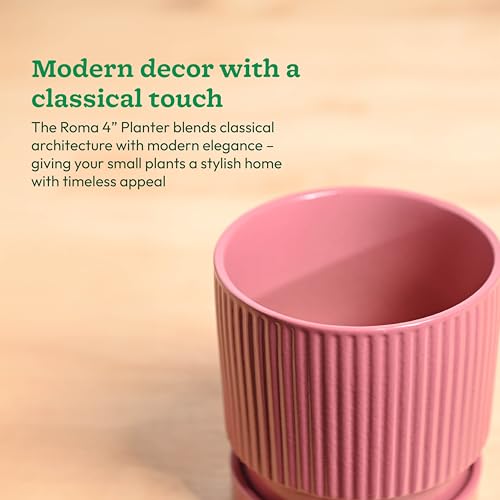 Image of UGAOO Roma Ceramic Flower Pot for Indoor Plants, 4 Inch - Magenta