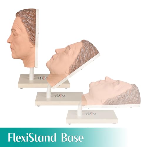 Image of Injection Face Training Model for Facial Injection Practice, Silicone Mannequin Face for Micro-Plastic Teaching, Esthetician's Class Injection Training to Medical Student - James Model
