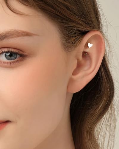 COCHARM Titanium Heart Star Moon Rook Spike Piercing Jewelry 16g, Surgical Steel Rook Earrings for Women Man, Silver Vertical Labret Jewelry, 8mm Spike Eyebrow Piercing Jewelry2