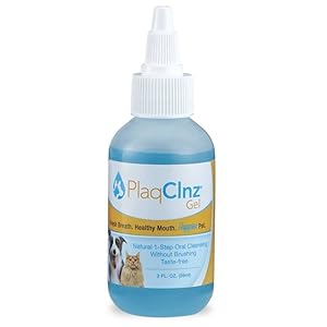 Daily Treatment Oral Gel – 2 oz – (2 Units)