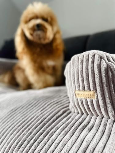 Velinda Hundebett Hundeschlafplatz Hundesofa Hundeliege Schutzmatte für Sofa Sofaschutz (Farbe: grau (Cord))