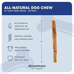 Downtown Pet Supply Bully Sticks for Dogs, Junior Size (6″, 25-pack) Rawhide Free Dog Chews Long Lasting Non-Splintering Pizzle Sticks – Low Odor Bully Sticks for Small Dogs
