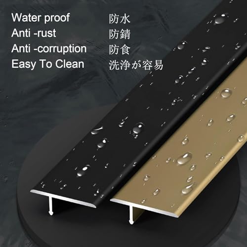 LIYI929GP Striscia di Transizione della Soglia del...