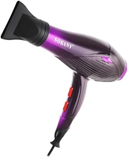 Generic Purple Hair Dryer - HS-3820 with Electrostatic Reduction Technology and Overheat Protection