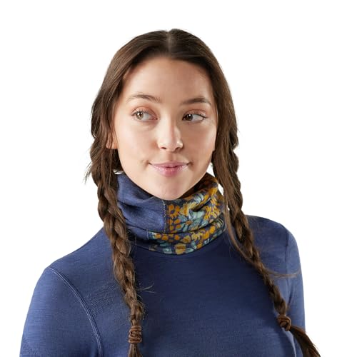 Smartwool unisex-adult Thermal Merino Colorblock Neck Gaiter