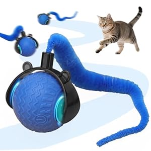 NGOKPYD Interaktiver Katzenball Elektrisch mit LED