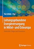  Leitungsgebundene Energieversorgung in Mittel- und Osteuropa: Elektrizität, Erdgas und Fernwärme
