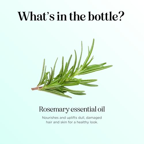 Image of Pure Rosemary Essential Oil for Aromatherapy - Undiluted Rosemary Oil for Hair Skin and Nails - Rosemary Essential Oil for Diffusers Plus Hair Oil for Enhanced Shine Cleansing and Dry Scalp Treatment