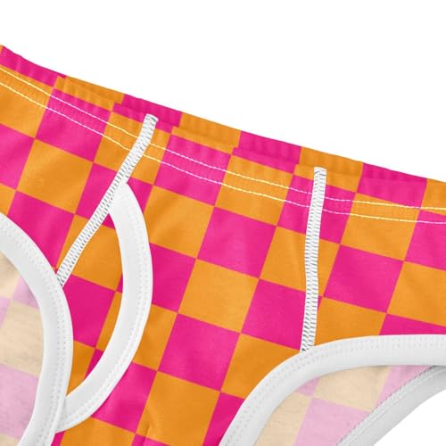 Pink and Orange Buffalo Checkered Toddler Boy's Underwear 2T4