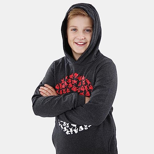 Pokémon Hoodie For Boys With Pokeball Design | Pikachu Kids Hoodies4