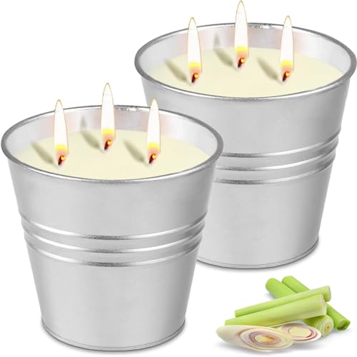 BNWRRCVKE Velas De Citronela Para Exteriores e Interiores, Cera De Soja Natural Citronela Velas Aromáticas, Verano Regalo Vela Aromaticas Perfumada Per Camping, Hogar, Picnic, Fiestas, 2 * 420 g