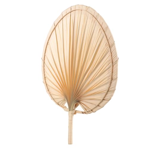 Toyvian Abanico de Mano Palma Mano Ventilador Decorativo Ligero y Portátil para Hogar Fiesta y Regalo Diseño Artesanal Natural