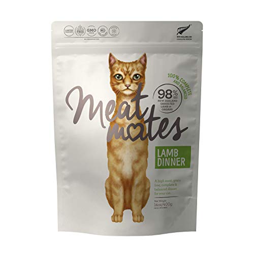 12 Best Raw Foods For Cats