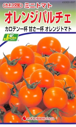 �J�l�R��c ���|�E�� KS300�V���[�Y �I�����W�p���`�F �~�j�g�}�g ���300 207