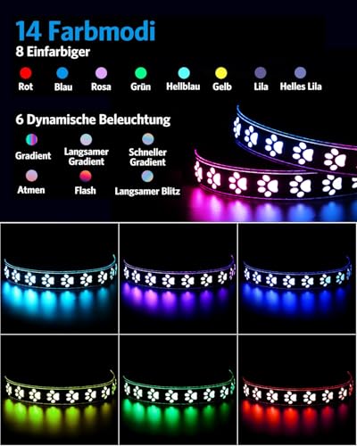 Brifit Leuchthalsband Hund Aufladbar mit 14 Lichtmodi, LED Halsband Hund Leuchtend Wasserdichtes, Silikonmaterial lässt Sich Leicht Anpassen Hundehalsband, für Kleine Mittlere Hund - S 【30cm - 40cm】