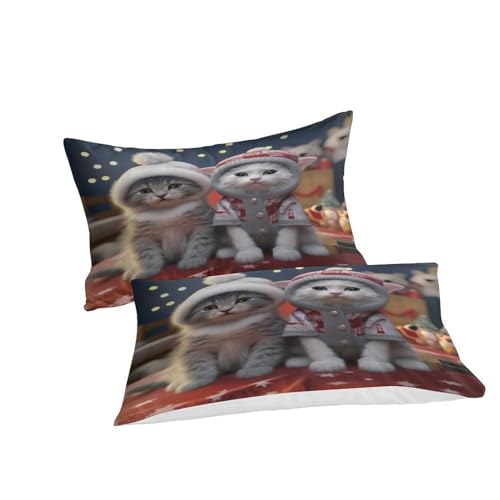 Housse de couette chat 3D anti-plis en microfibre pour lit double 200x200cm