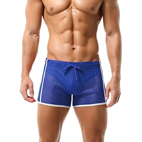 Panegy Men's Sexy Mesh Underwear See Through Boxer Shorts Breathable Trunks Briefs Blue Size S Cover