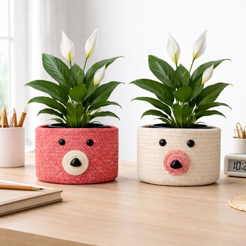 Image of Teddy Eco-Friendly Cotton Rope Basket Set of 2 (6x6 Inch) - Remote Holder for Living Room & Remote stand for Table, Makeup organisers, Jute Planter Basket & Jute Pots for Plants (Red & White)