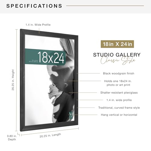 MCS Classic Studio Gallery Frame, Black Woodgrain, 18 x 24 in, Single, Classic Black