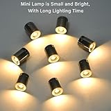 Zoom IMG-2 mini luce led a batteria Zoom IMG-2 mini luce led a batteria