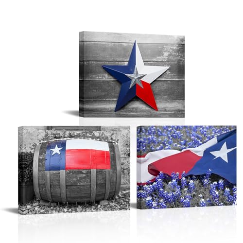 RnnJoile Texas Canvas Art Texas Flag Bluebonnet Texas Star Pictures Prints Black and White Texas Wall Art Decor Framed 12