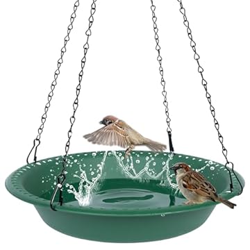 best bird bath for small backyard