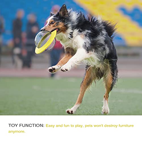 Giochi per Cani, Accessori Cani Palla Giocattolo