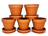meindekoartikel 5 Töpfe und 5 Untersetzer aus Ton - Blumentopf Pflanzgefäß für Garten, Balkon und Zuhause (10tlg.Set - Ø 10 cm)