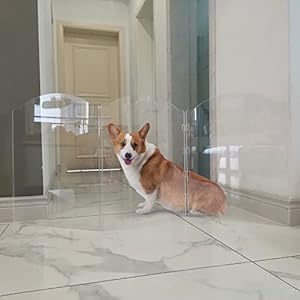 Dog Gate for The House, Clear Acrylic Pet Gate for Dogs, Freestanding Dog Gates for Doorways, Folding Free Standing Puppy Doggy Cat Fence for Inside, Dog Barriers for Home 3 Panel Dog Gate for The House Clear Acrylic Pet Gate for Dogs Freestanding Dog Gates for Doorways Folding Free Standing Puppy Doggy Cat Fence for Inside Dog Barriers for Home 3 Panel