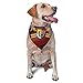 3rd Special Forces Group Triangle Dog Bandana Scarf Accessories for Pet Bibs