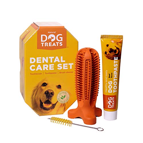 Natural Dog Treats Cepillo de Dientes y Dentífrico Set para Perros, 100% Natural Caucho Dog Brushing Stick, Juguete para Masticar, Tall Medium