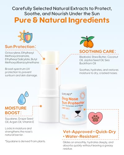 Image of Dog Nose Sunscreen Balm SPF 25 - Natural, Lick-Safe Sun Protection with Shea Butter & Sea Buckthorn - Moisturizes & Shields Sensitive Noses - Fragrance-Free