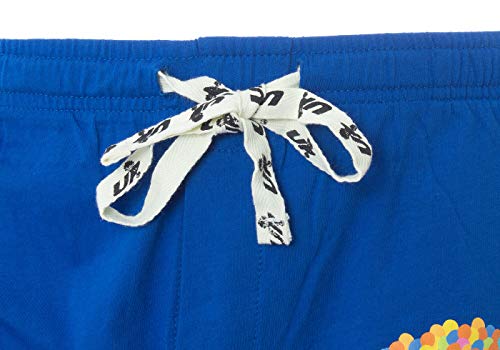 Disney UP Men's Adventure is Out There Floating Balloon House Sleepwear Lounge Pajama Pants3