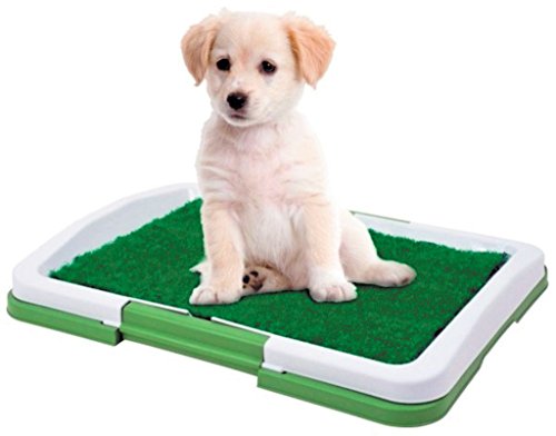 Dominiti chien en vert/chien toilettes/WC de voyage pour chien/gazon synthétique