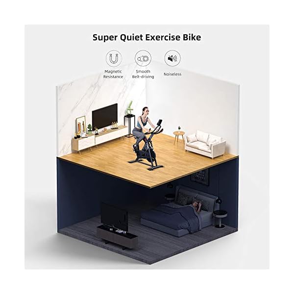RHYTHM-FUN-APP-Applied-Exercise-Bike-Indoor-Cycling-Bike-Stationary-Bikes-Super-Quiet-Magnetic-Resistance-Quiet-Belt-Cycle-Bike-for-Home-Cardio-Workout-with-APPLCD-MonitorHeavy-Flywheel-Home-Gym RHYTHM FUN Exercise Bike Indoor Cycling Bike Stationary Bikes Super Quiet Magnetic Resistance Bike Quiet Belt Cycle Bike for Exercise Cardio Workout With Cycle APP/LCD Monitor/Heavy Flywheel Home Gym