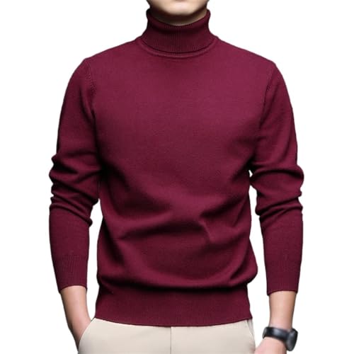 Warm Anti-Pilling Turtleneck Casual Slim Sweater Long Sleeve Sweater for Men Autumn/Winter