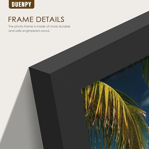 Image of DUENPY 5 Folding 4x6 Accordion Wood Frame Plexiglass Black