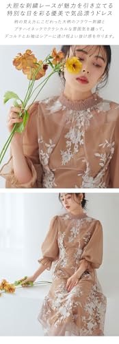 j　RUIRUE BOUTIQUE ルイルエブティック　ドレス　L RUIRUE BOUTIQUE ルイルエブティック シアーランタンスリーブ